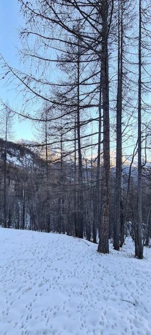 Appartamento T2 à 5 min à pieds des pistes, Puy St Vincent 1700 Puy-Saint-Vincent Esterno foto